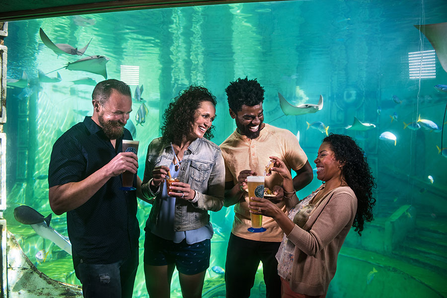 Seaworld Tickets for $69